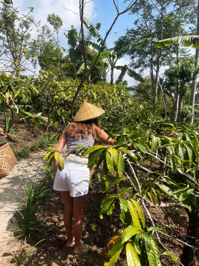Coffee Experience: From Bean to Cup